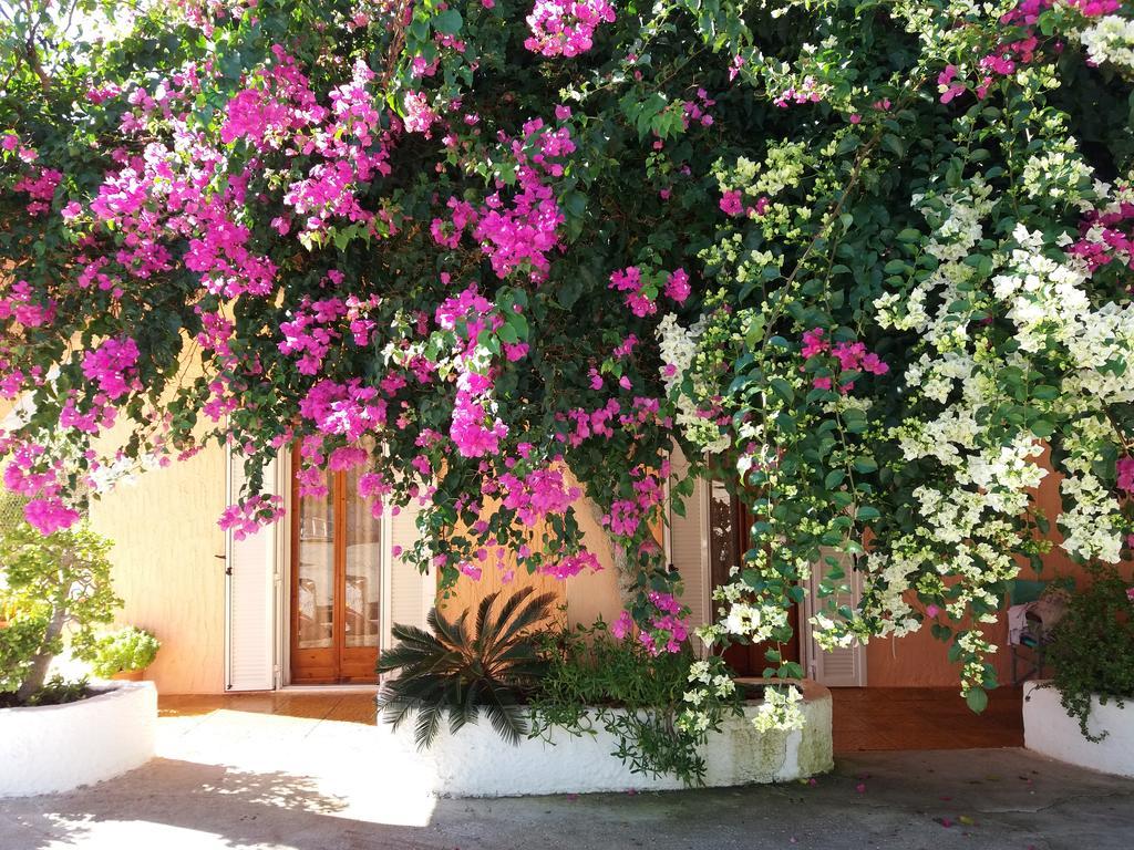 Constantinos Apartments Lassi  Buitenkant foto