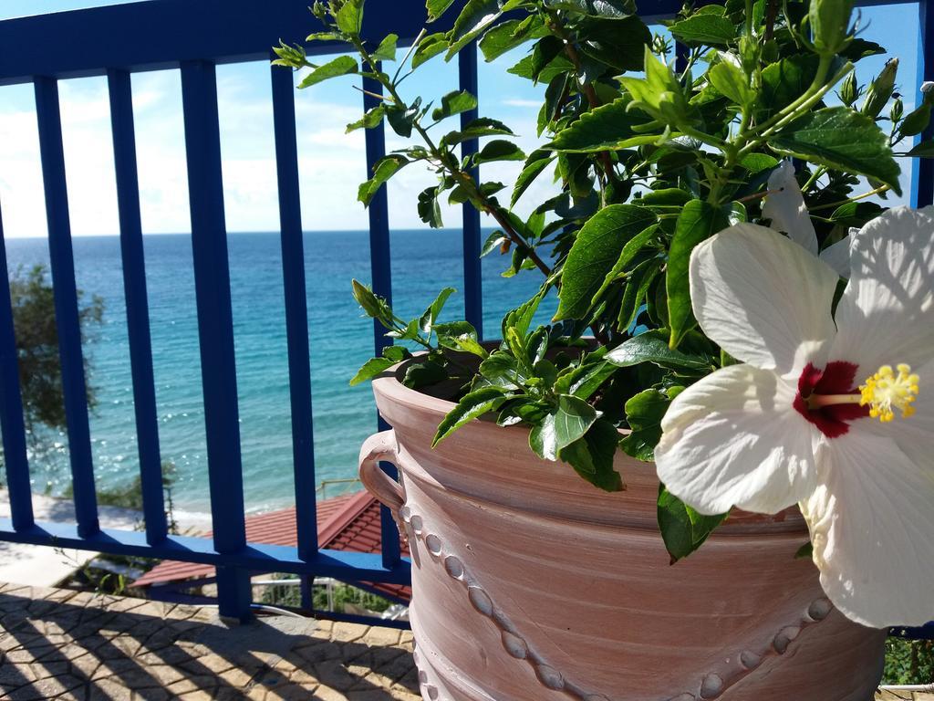 Constantinos Apartments Lassi  Buitenkant foto