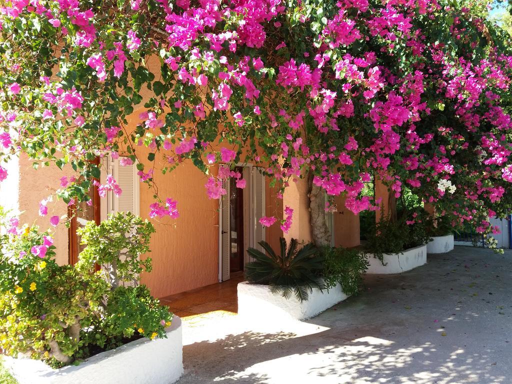 Constantinos Apartments Lassi  Buitenkant foto